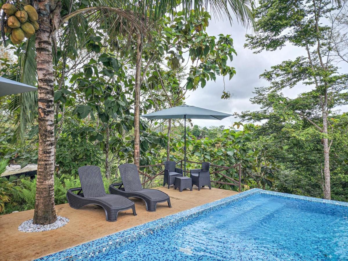 Hotel Madeira Boutique Doradal Kültér fotó